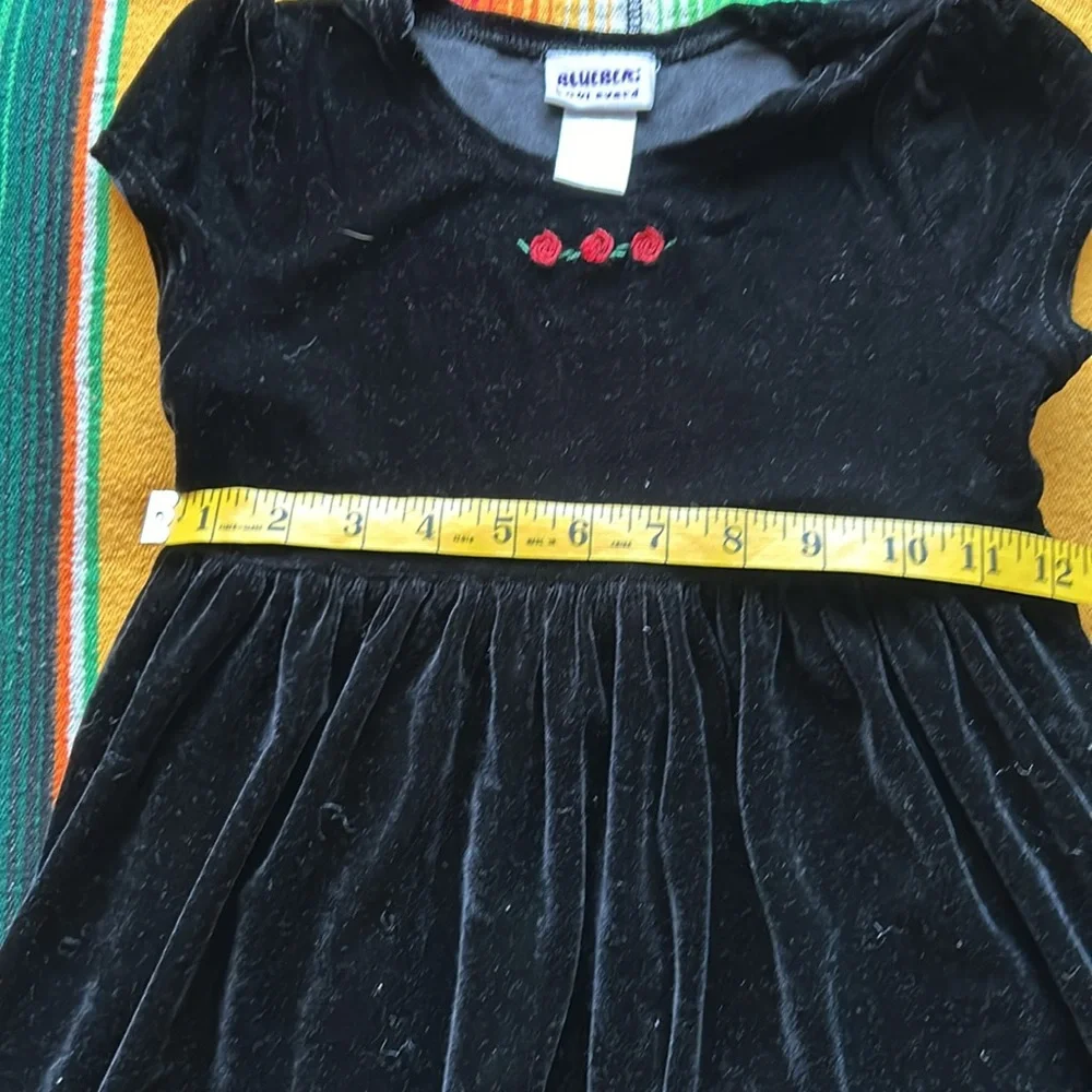 Black Velvet Red Roses Dress